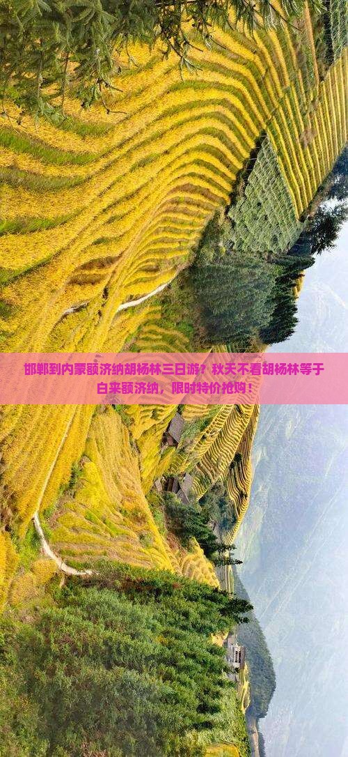 邯郸到内蒙额济纳胡杨林三日游？秋天不看胡杨林等于白来额济纳，限时特价抢购！