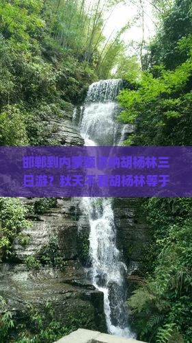邯郸到内蒙额济纳胡杨林三日游？秋天不看胡杨林等于白来额济纳，限时特价抢购！
