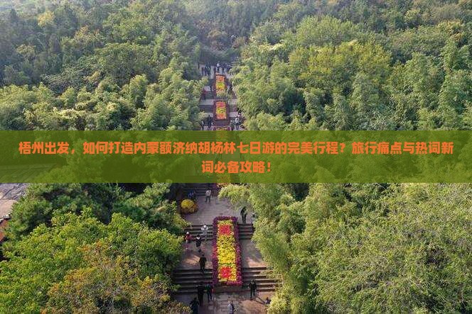 梧州出发，如何打造内蒙额济纳胡杨林七日游的完美行程？旅行痛点与热词新词必备攻略！