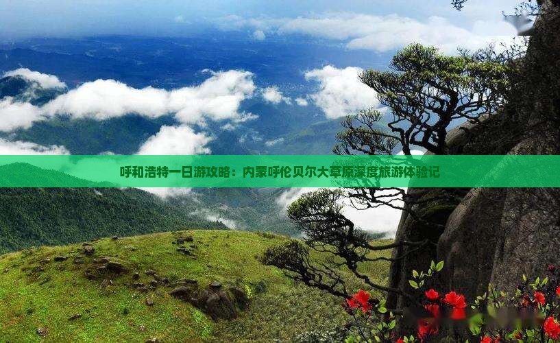 呼和浩特一日游攻略：内蒙呼伦贝尔大草原深度旅游体验记