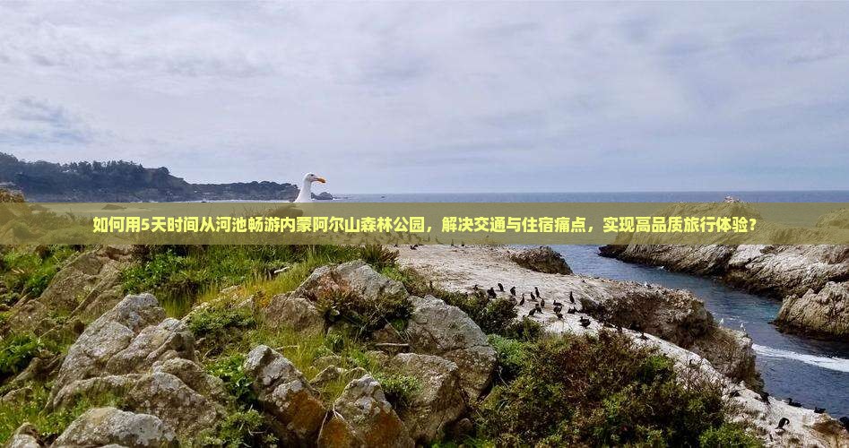 如何用5天时间从河池畅游内蒙阿尔山森林公园，解决交通与住宿痛点，实现高品质旅行体验？