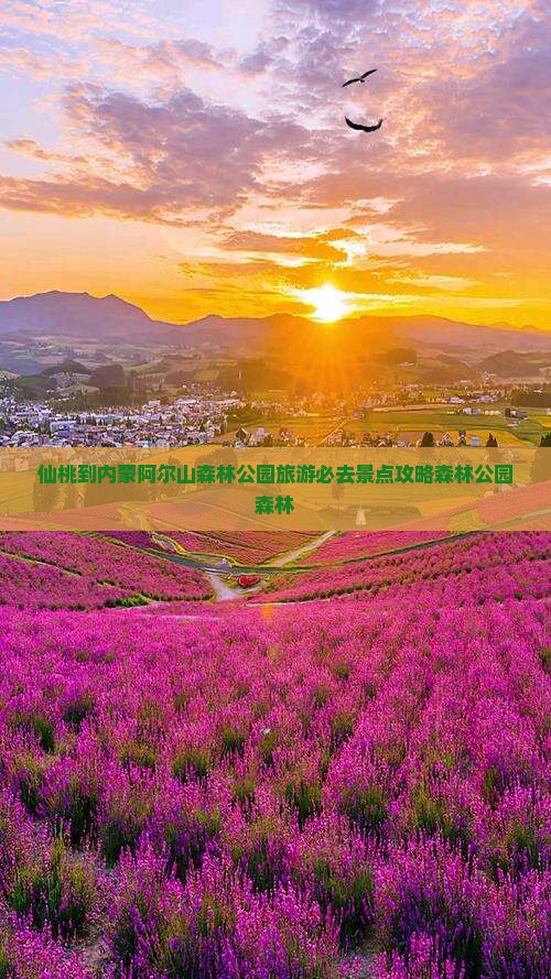 仙桃到内蒙阿尔山森林公园旅游必去景点攻略森林公园森林