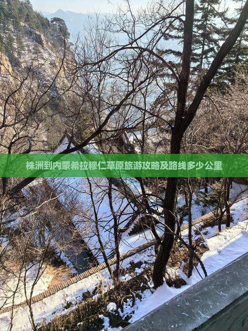 株洲到内蒙希拉穆仁草原旅游攻略及路线多少公里