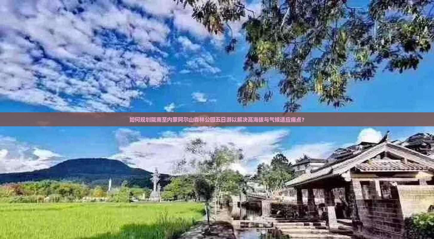 如何规划陇南至内蒙阿尔山森林公园五日游以解决高海拔与气候适应痛点？