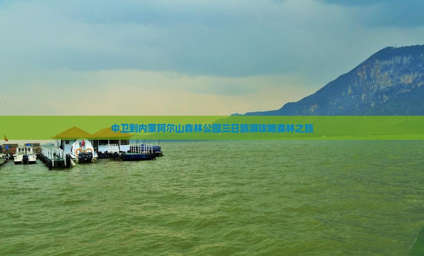 中卫到内蒙阿尔山森林公园三日旅游攻略森林之旅