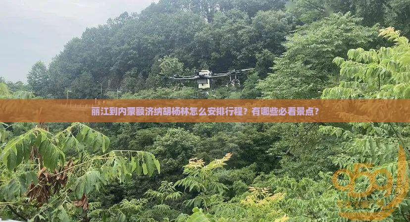 丽江到内蒙额济纳胡杨林怎么安排行程？有哪些必看景点？