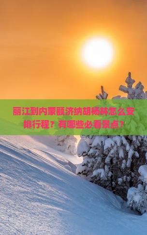 丽江到内蒙额济纳胡杨林怎么安排行程？有哪些必看景点？