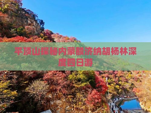 平顶山探秘内蒙额济纳胡杨林深度四日游