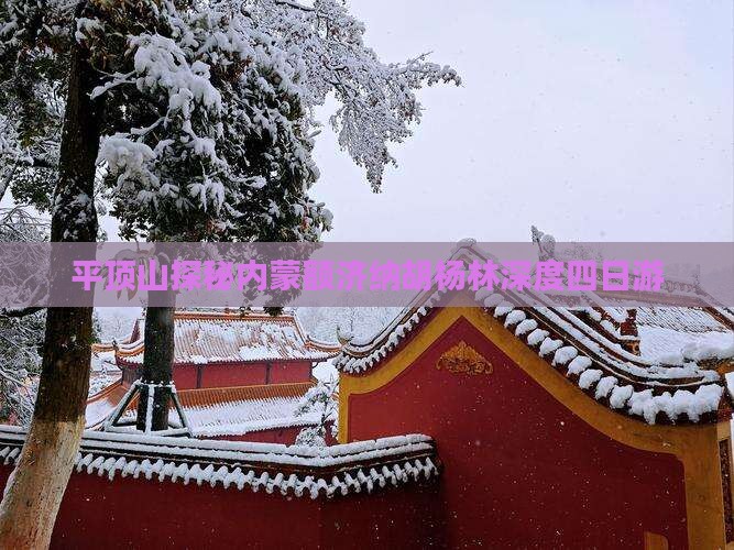 平顶山探秘内蒙额济纳胡杨林深度四日游