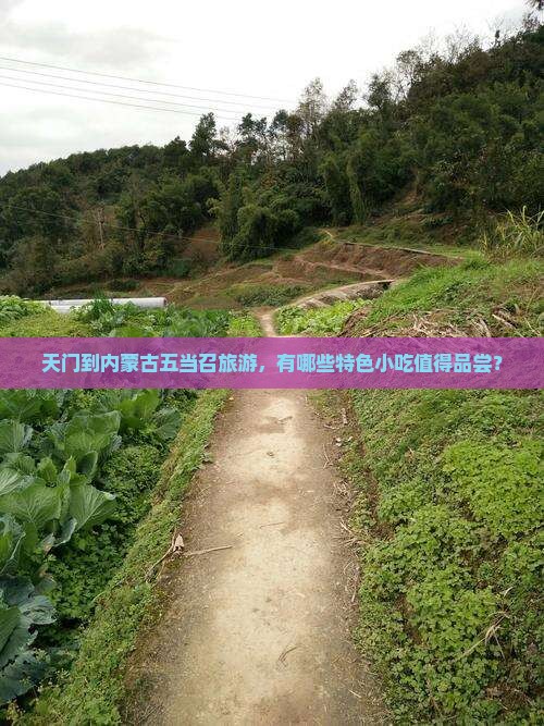 天门到内蒙古五当召旅游，有哪些特色小吃值得品尝？