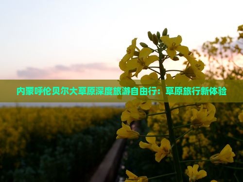 内蒙呼伦贝尔大草原深度旅游自由行：草原旅行新体验