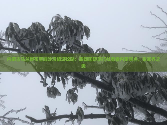 内蒙古乌兰察布至响沙湾旅游攻略：跟随国际旅行社看看内蒙景点，张家界之美