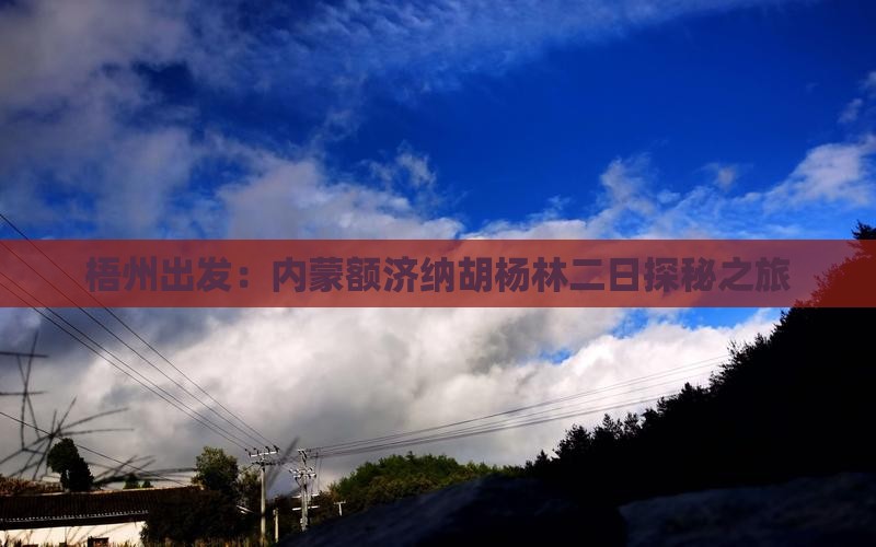 梧州出发：内蒙额济纳胡杨林二日探秘之旅