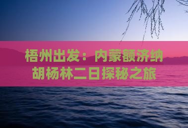 梧州出发：内蒙额济纳胡杨林二日探秘之旅