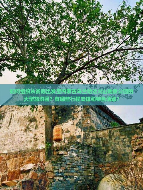 如何组织从娄底出发至内蒙古乌兰哈达火山地质公园的大型旅游团？有哪些行程安排和特色活动？