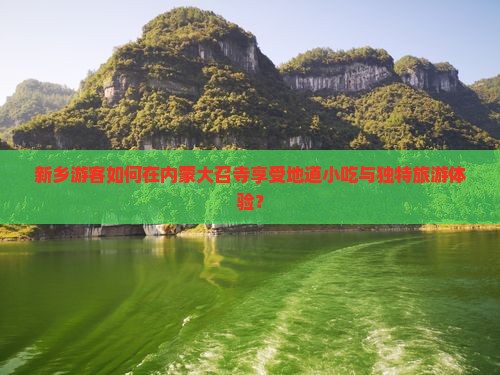 新乡游客如何在内蒙大召寺享受地道小吃与独特旅游体验？