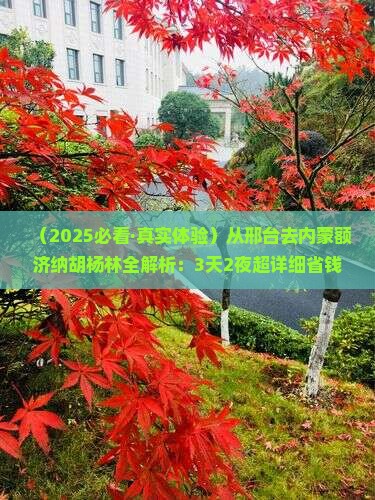 邢台去内蒙额济纳胡杨林攻略