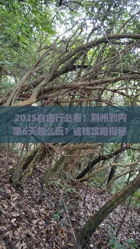 荆州到内蒙自由行