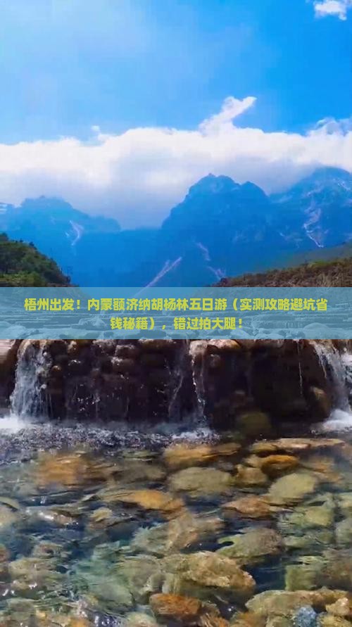 梧州去内蒙额济纳胡杨林五日游