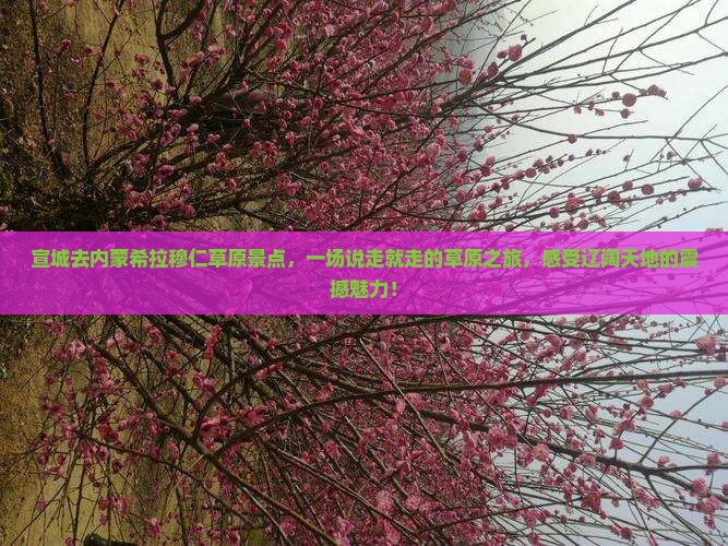 宣城去内蒙希拉穆仁草原景点