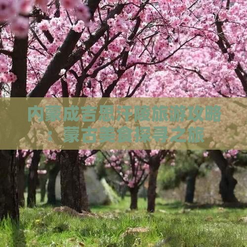 长沙到内蒙成吉思汗陵旅游小吃