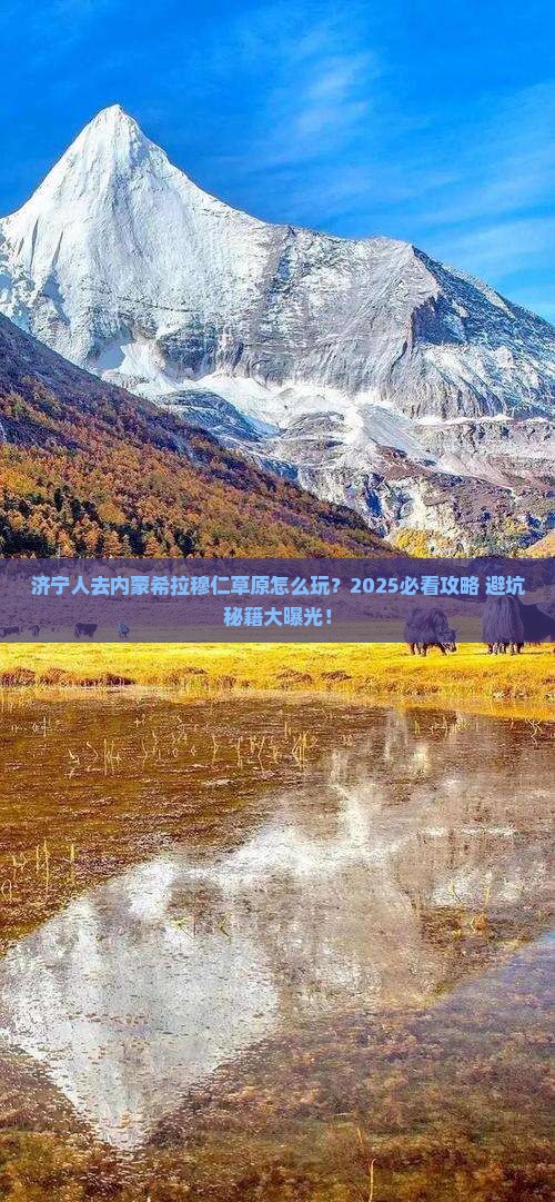 济宁去内蒙希拉穆仁草原哪里玩