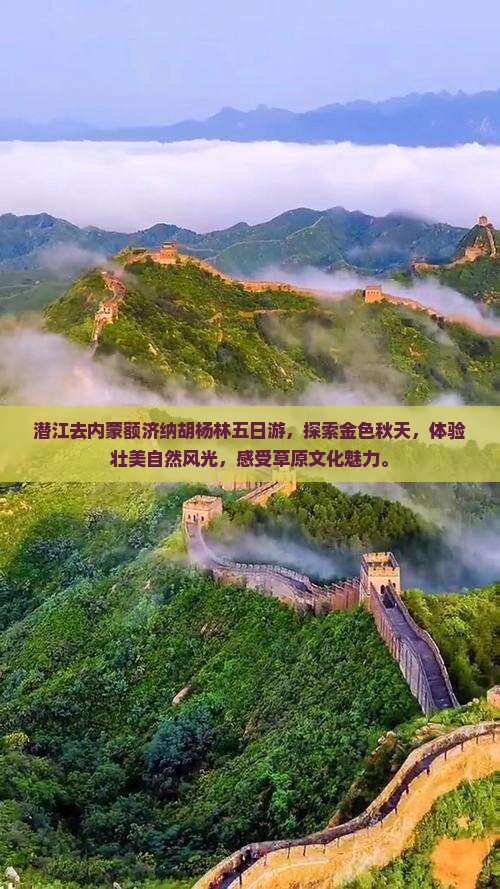 潜江去内蒙额济纳胡杨林五日游