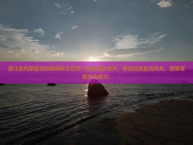 潜江去内蒙额济纳胡杨林五日游