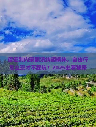德宏到内蒙额济纳胡杨林自由行