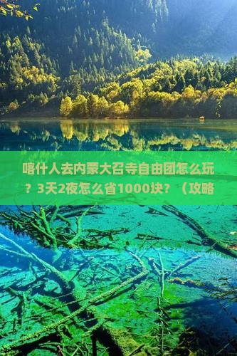 喀什去内蒙大召寺自由团