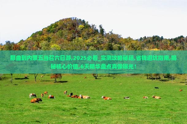 那曲到内蒙五当召六日游