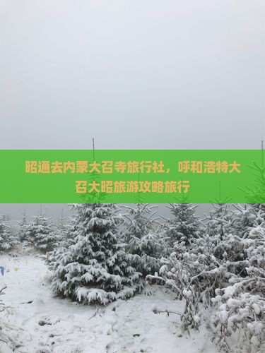 昭通去内蒙大召寺旅行社