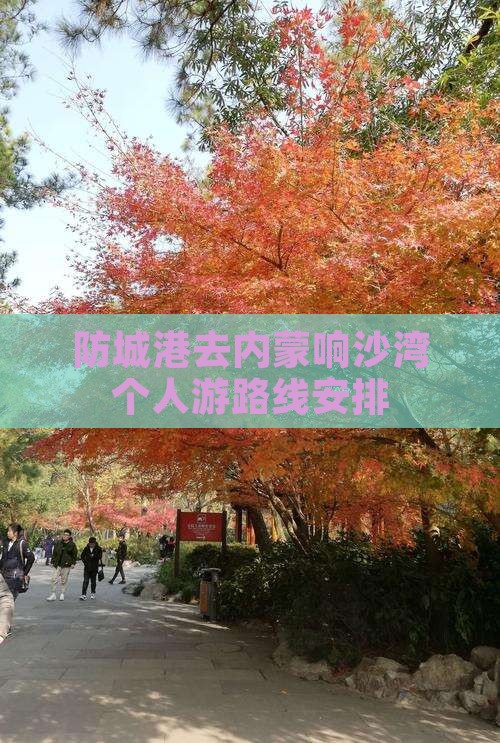 防城港去内蒙响沙湾个人游