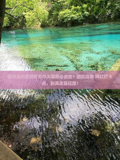 衢州去内蒙呼伦贝尔大草原必去地