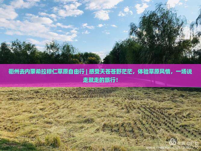 衢州去内蒙希拉穆仁草原自由行