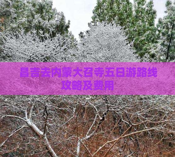 昌吉去内蒙大召寺五日游