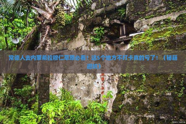 常德去内蒙希拉穆仁草原必去地
