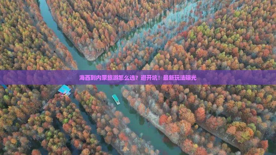 海西到内蒙旅行社