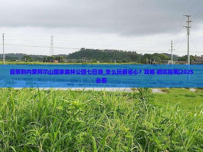 昆明到内蒙阿尔山国家森林公园七日游