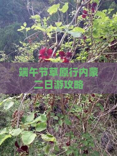 端午节到内蒙二日游