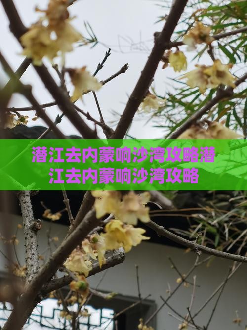 潜江去内蒙响沙湾攻略
