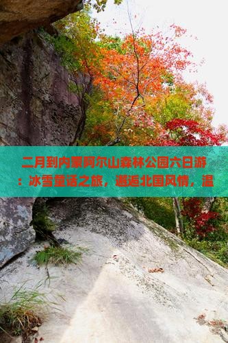 二月到内蒙阿尔山国家森林公园六日游
