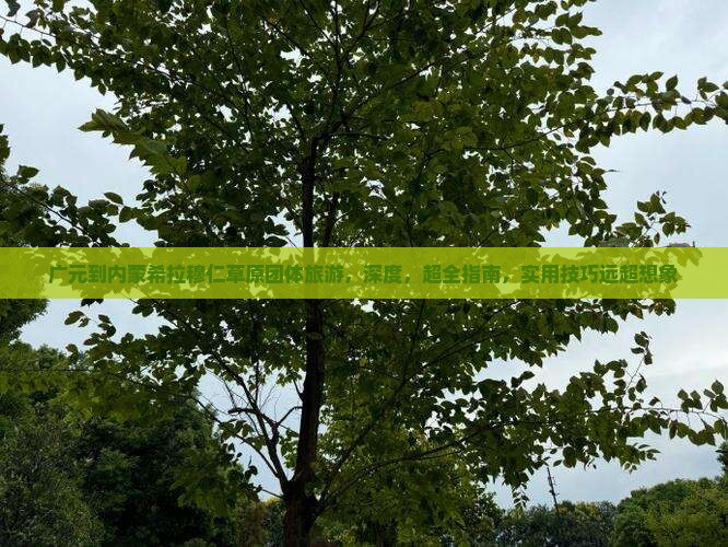 广元到内蒙希拉穆仁草原团体旅游