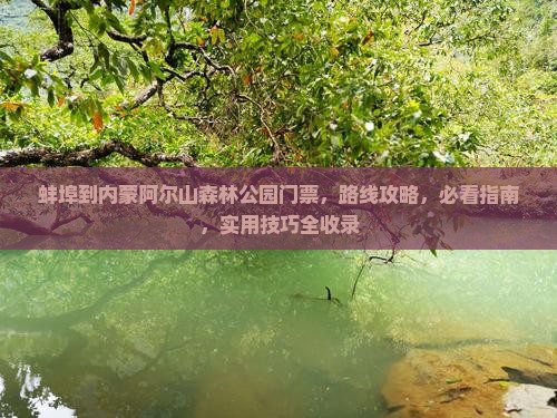 蚌埠到内蒙阿尔山国家森林公园门票