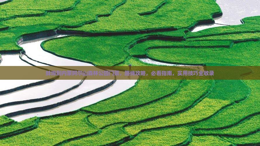 蚌埠到内蒙阿尔山国家森林公园门票