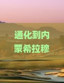 通化到内蒙希拉穆仁草原必去地