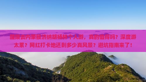 醴陵去内蒙额济纳胡杨林个人游