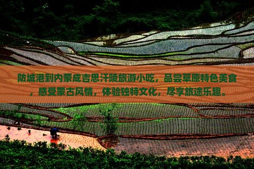 防城港到内蒙成吉思汗陵旅游小吃