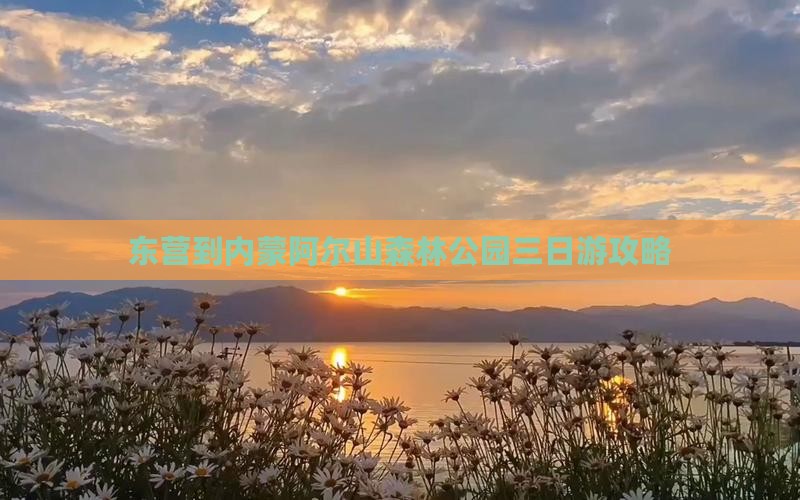 东营到内蒙阿尔山国家森林公园三日游