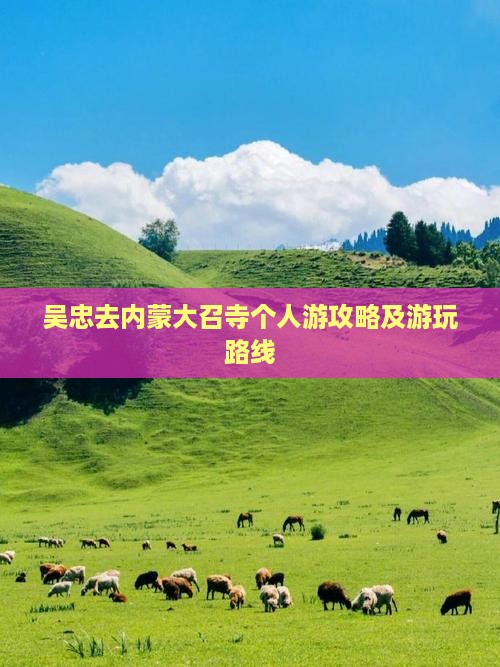 吴忠去内蒙大召寺个人游攻略及游玩路线